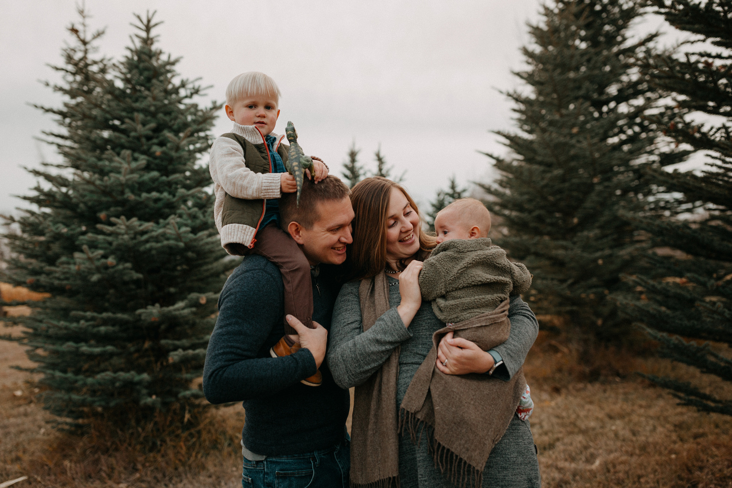 The image shows a hand holding a remote control in an interior setting, with the house depicted on the remote's buttons. T...